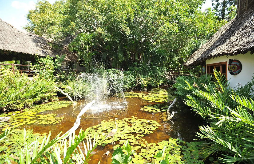 Leopard Beach Resort&Spa-1